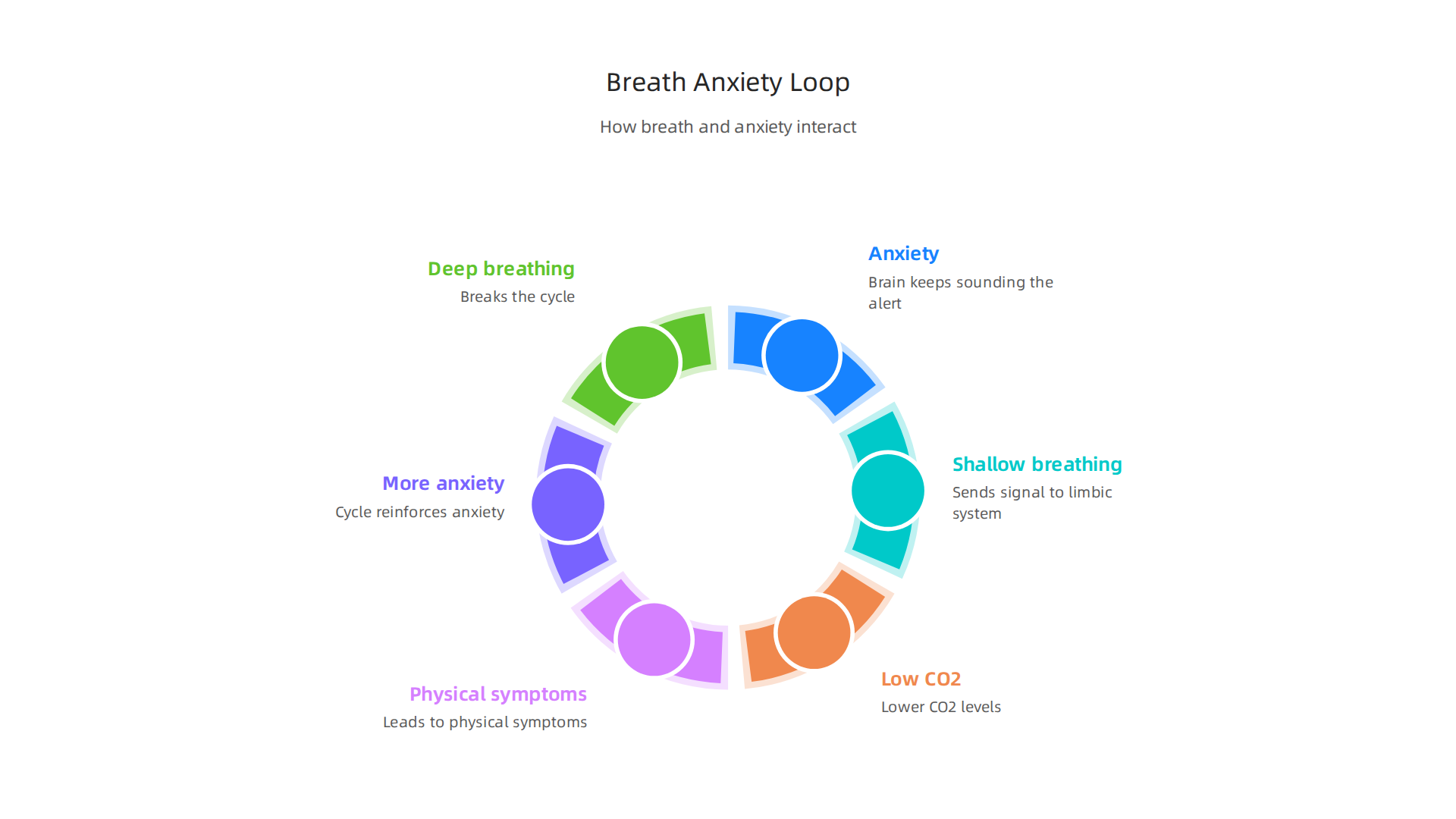 A cyclical diagram explaining how shallow breathing reinforces anxiety, and how deep breathing breaks the cycle.