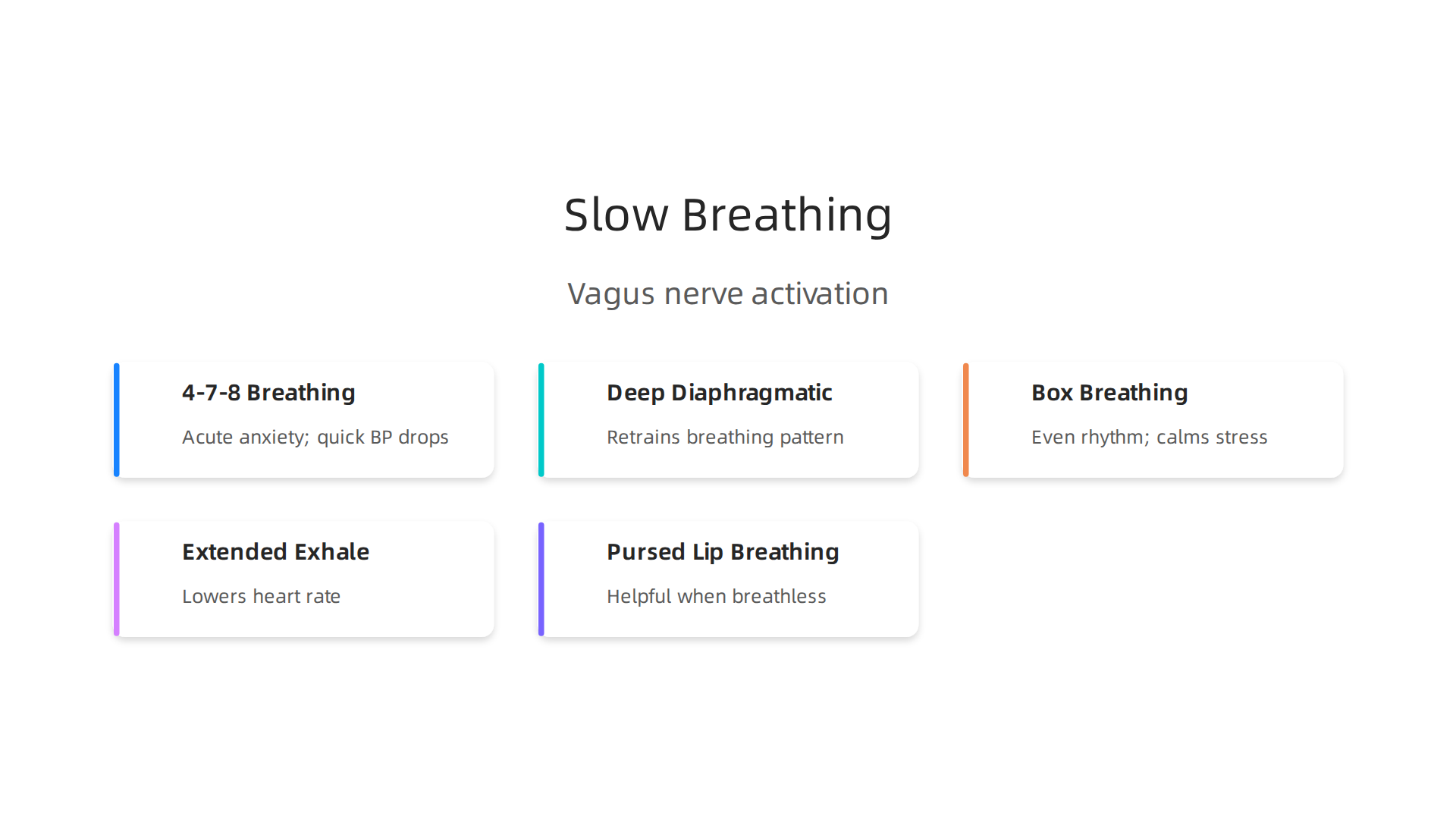 Slow, rhythmic breathing activates the vagus nerve, triggering the body's 'rest-and-digest' response to lower blood pressure.