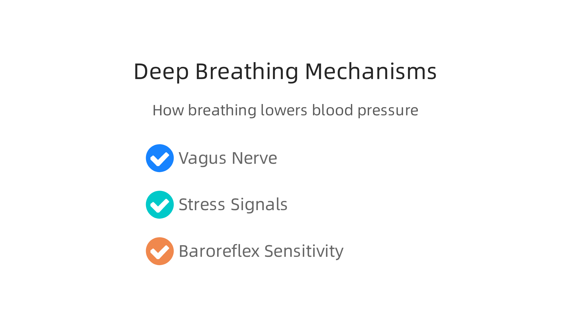 A visual explanation of the scientific mechanisms by which deep breathing calms the body and lowers blood pressure.