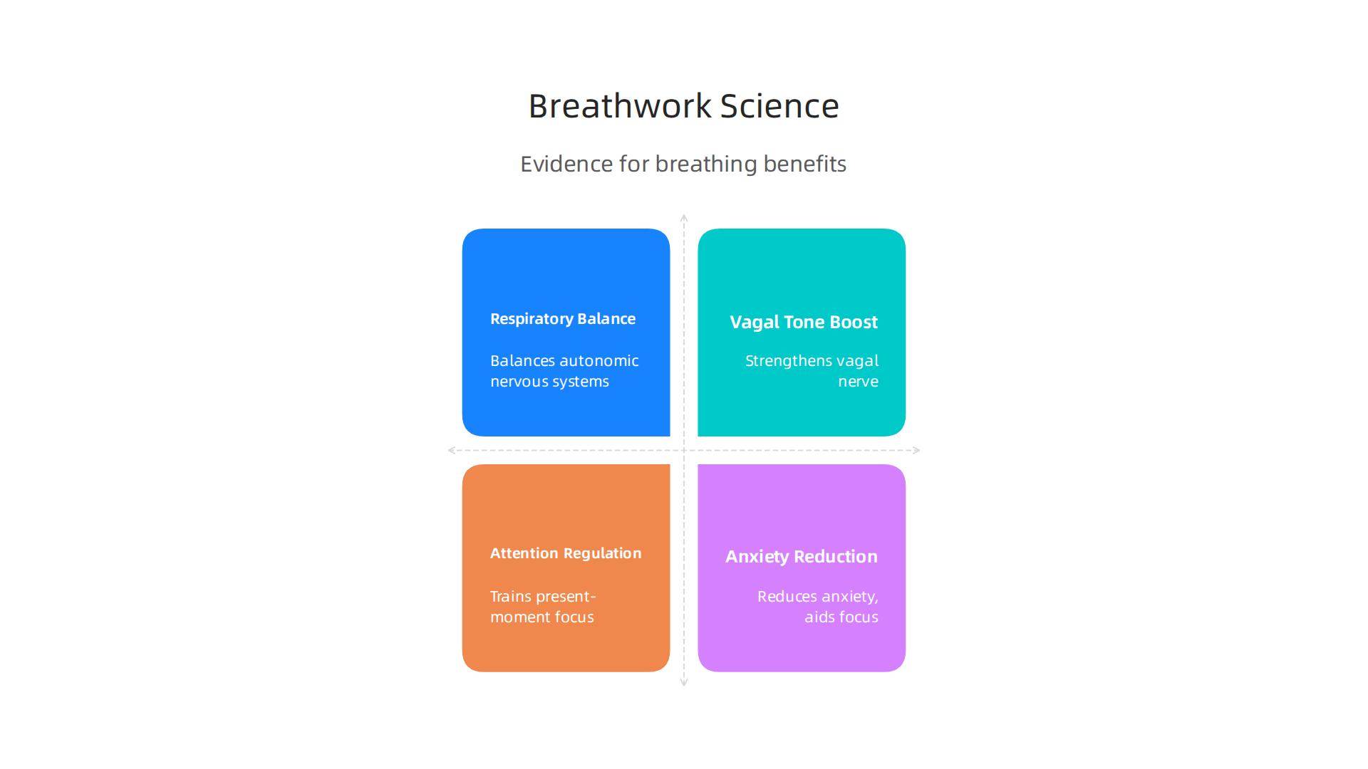 Visualizing the scientific mechanisms through which mindful breathing impacts mind and body.