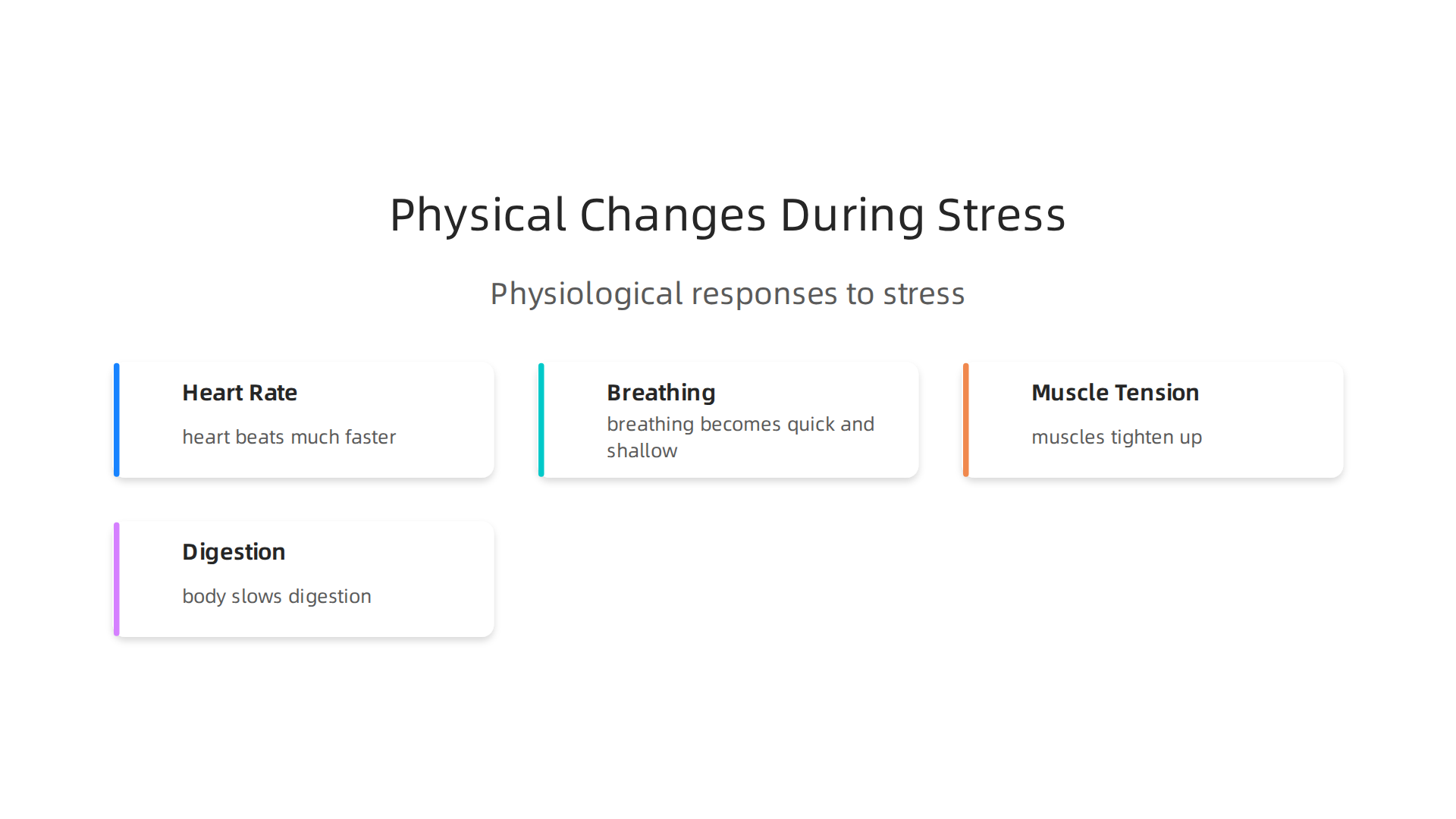 Summary of the body's physiological responses during a stress reaction.