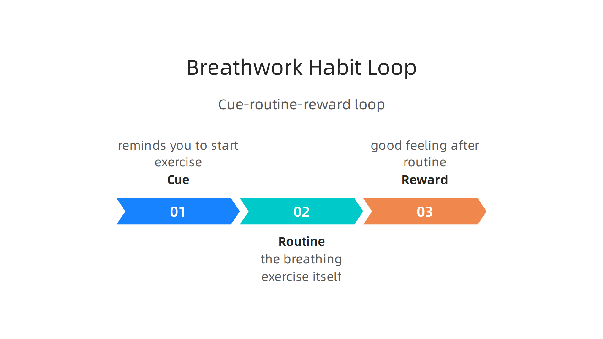 The 'cue-routine-reward' loop framework for integrating breathwork into daily life.