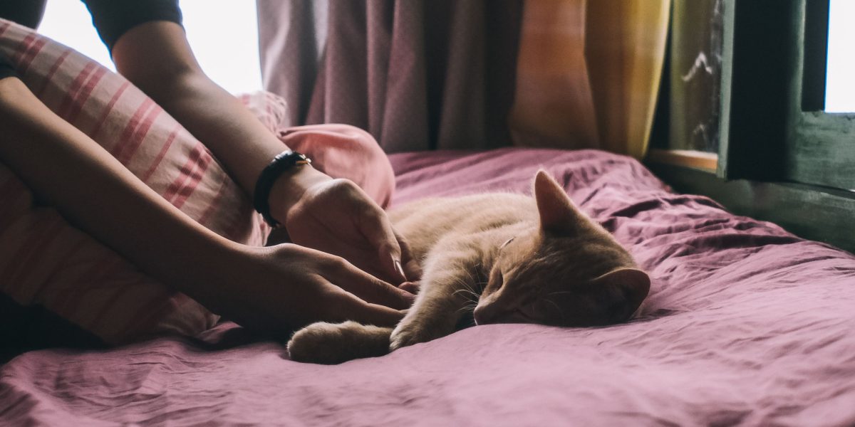 A serene image of a person sleeping soundly, embodying the calm and safety achieved with effective sleep sounds.