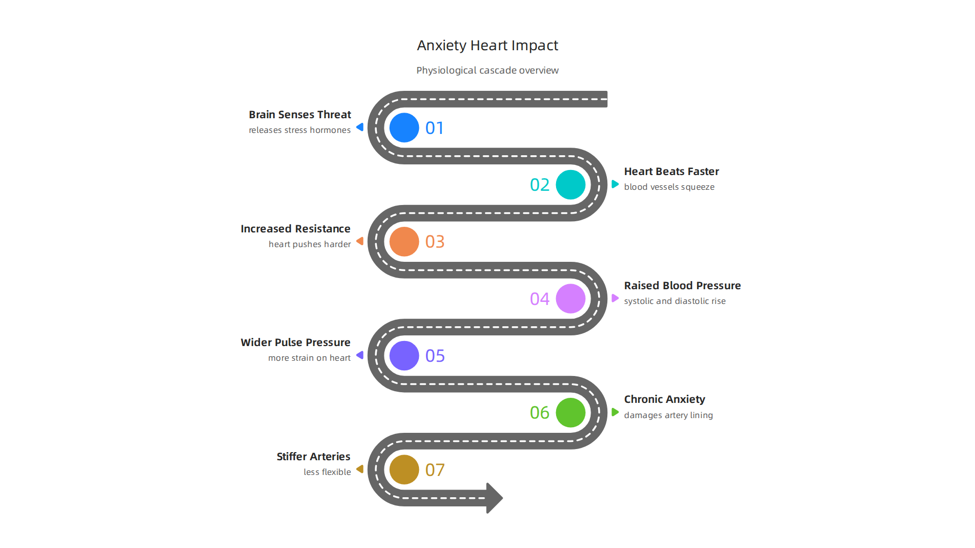 A step-by-step visual explaining the physiological cascade of anxiety on the cardiovascular system.