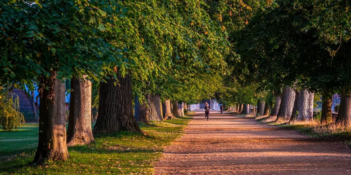 Regular physical activity is a crucial component of a heart-healthy lifestyle.