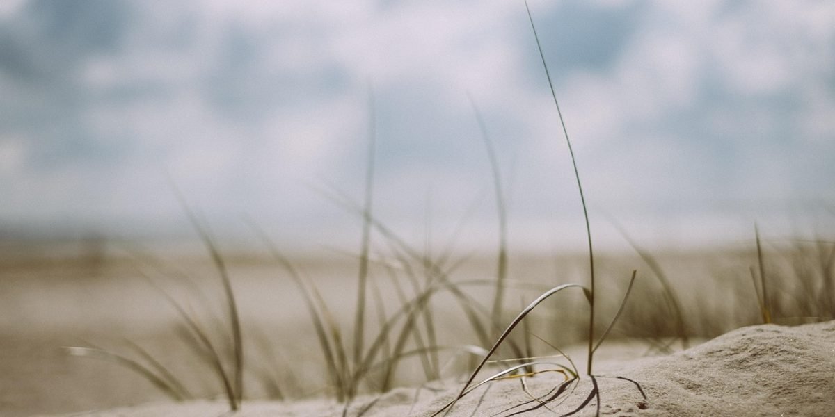 A person finding calm and tranquility, reflecting the brain's reduced reaction to sudden noises.